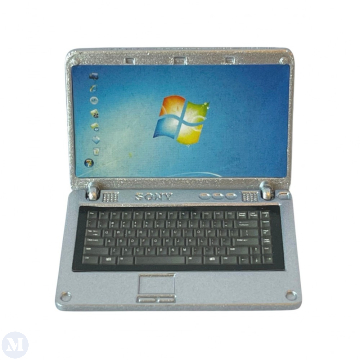 D4236 - Opening Silver Laptop